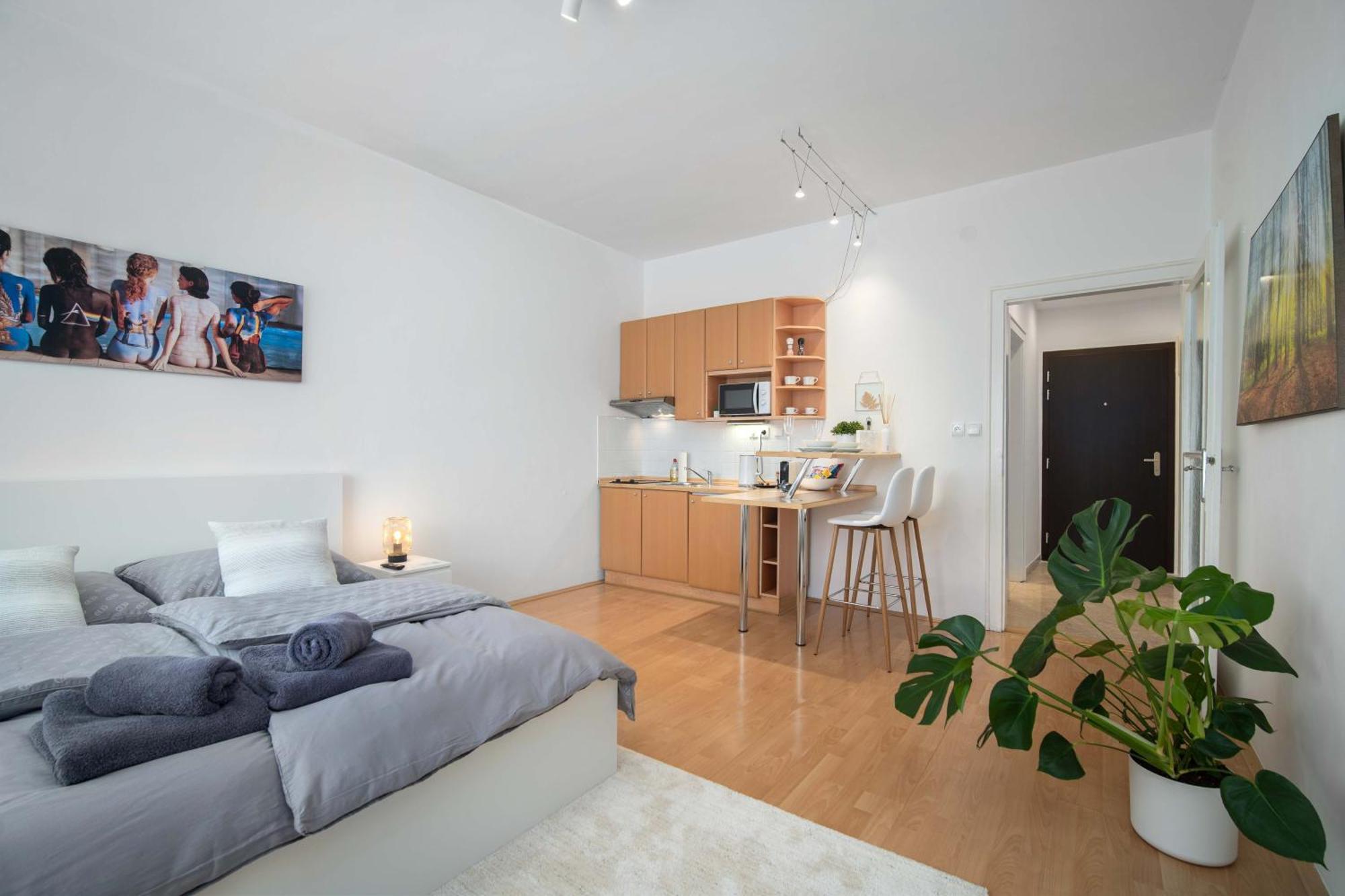 Best Location Apartment Air-Conditioned Bratislava Dış mekan fotoğraf