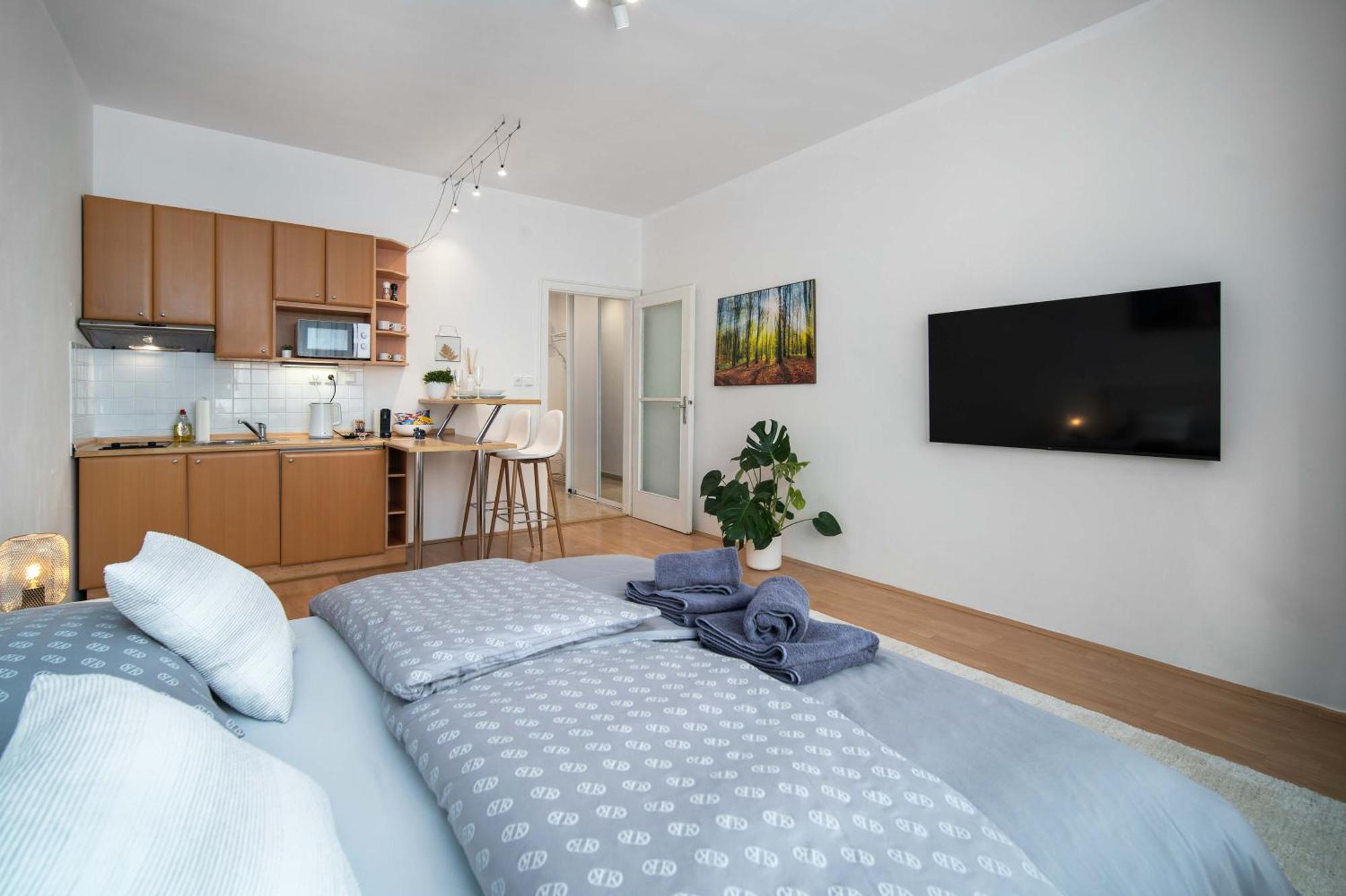 Best Location Apartment Air-Conditioned Bratislava Dış mekan fotoğraf